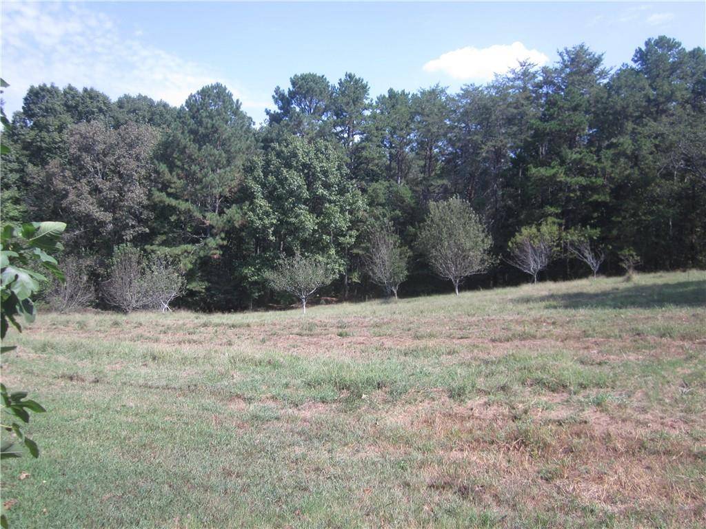 Ball Ground, GA 30107,004 Roy Haynes Drive   Tract #4 DR