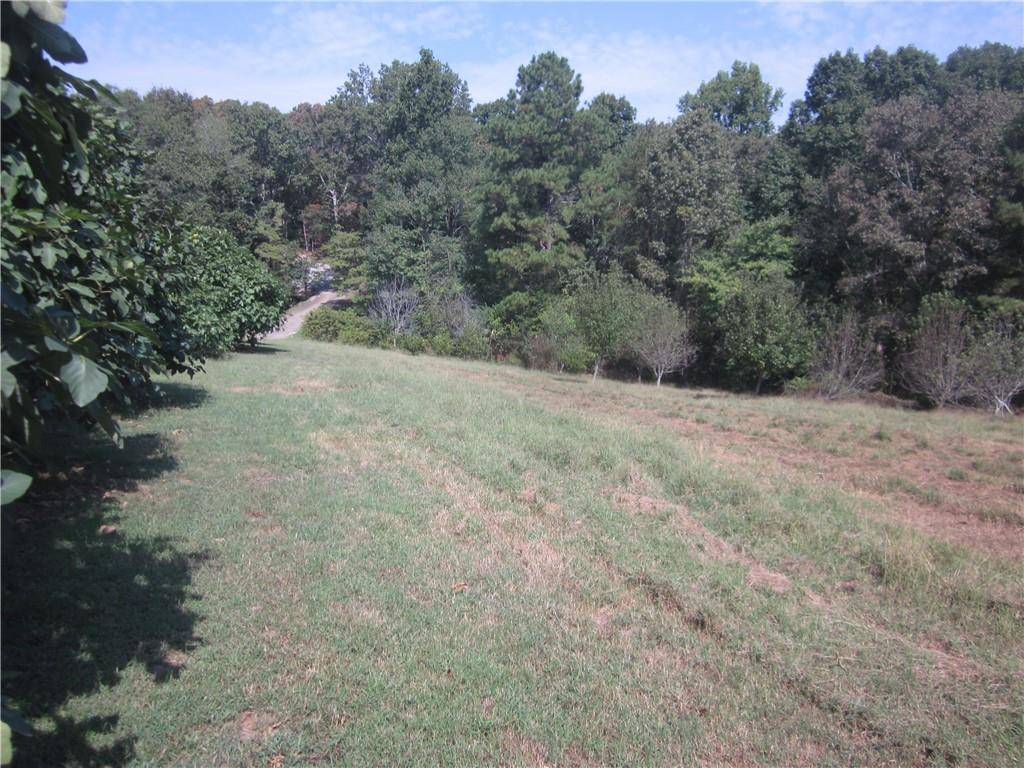 Ball Ground, GA 30107,004 Roy Haynes Drive   Tract #4 DR