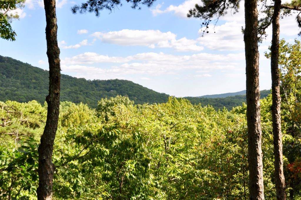 Big Canoe, GA 30143,28 Wrens Nest