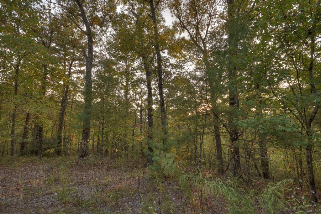 Mineral Bluff, GA 30559,0 Coldwater Creek DR