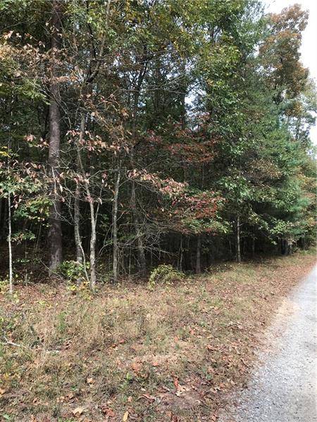 Ellijay, GA 30536,002 Evans Rd