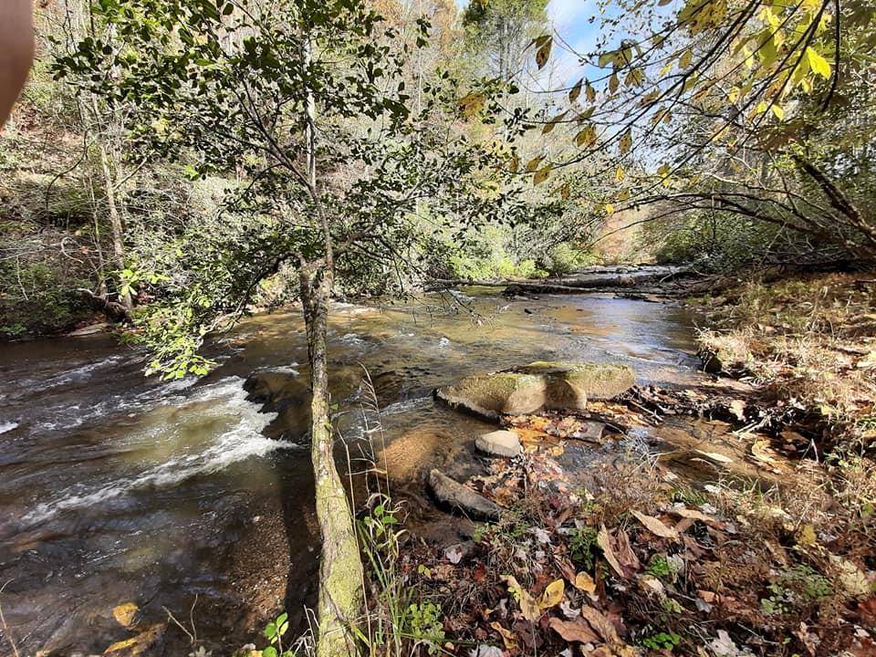 Cherry Log, GA 30522,Lot 4 Whispering Pine Ln