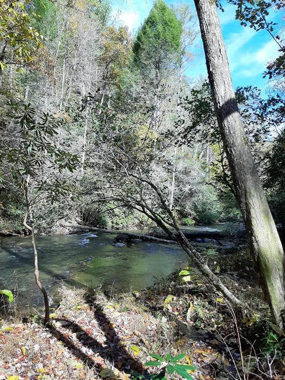 Cherry Log, GA 30522,Lot 4 Whispering Pine Ln