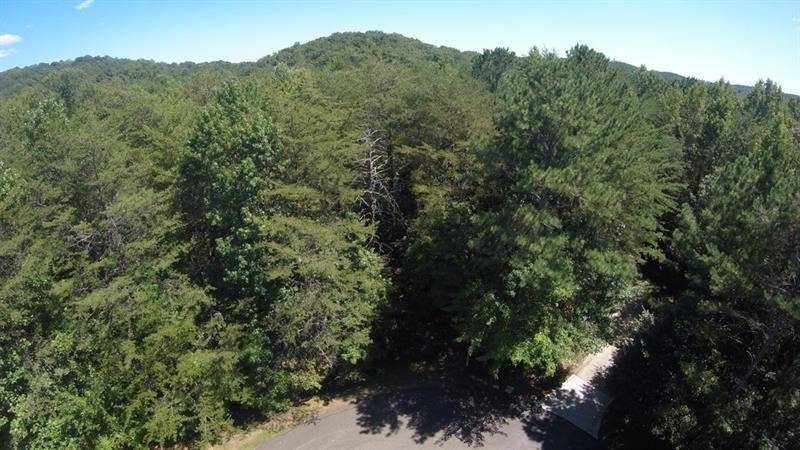 Jasper, GA 30143,Lot 24 Sharpview LN