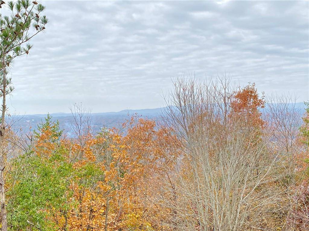 Ellijay, GA 30540,1148 Talona Mountain