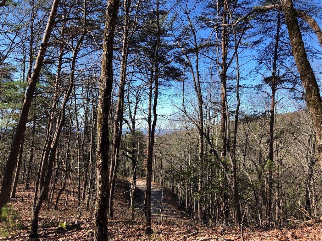 Ellijay, GA 30540,00 Brushy Top RD