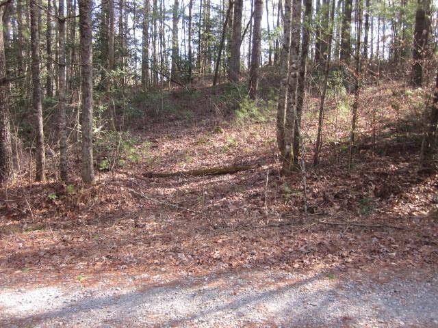 Ellijay, GA 30540,00 Westwind DR