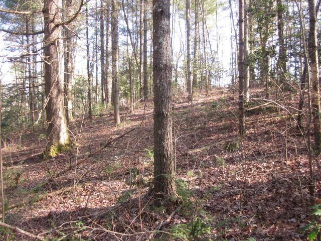 Ellijay, GA 30540,00 Westwind DR