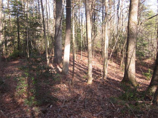 Ellijay, GA 30540,00 Westwind DR