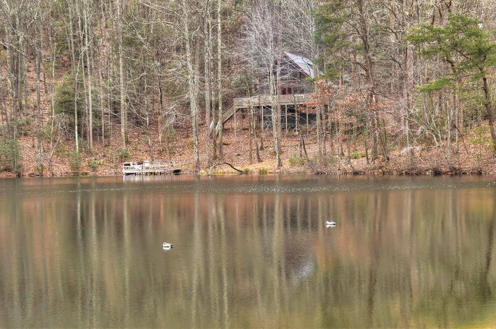 Ellijay, GA 30536,286 South Lake DR