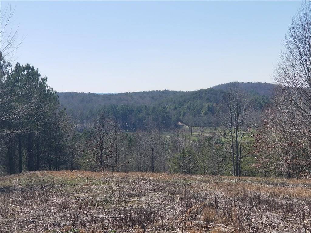 Ellijay, GA 30536,0 Dales Spur