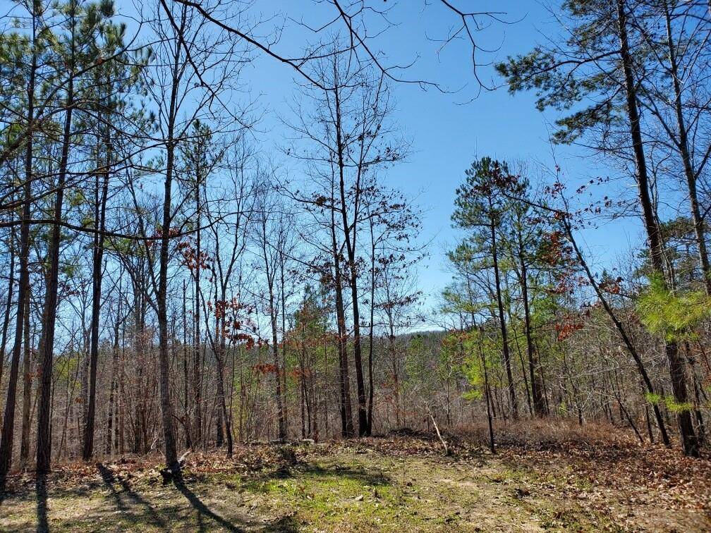 Dallas, GA 30132,0 Hulseytown RD