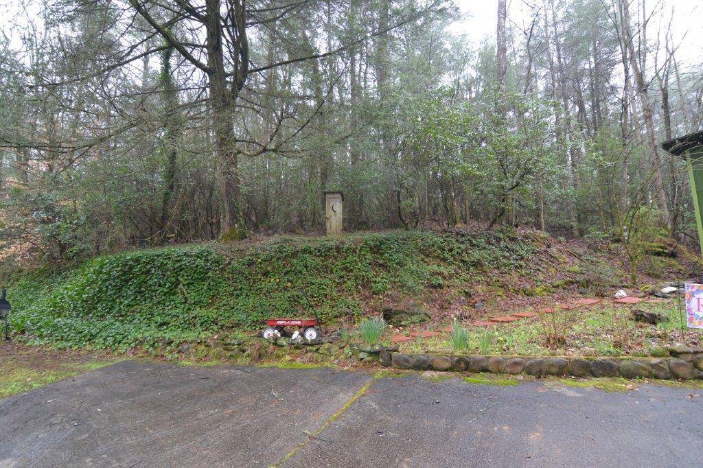 Ellijay, GA 30540,398 Amber Lane