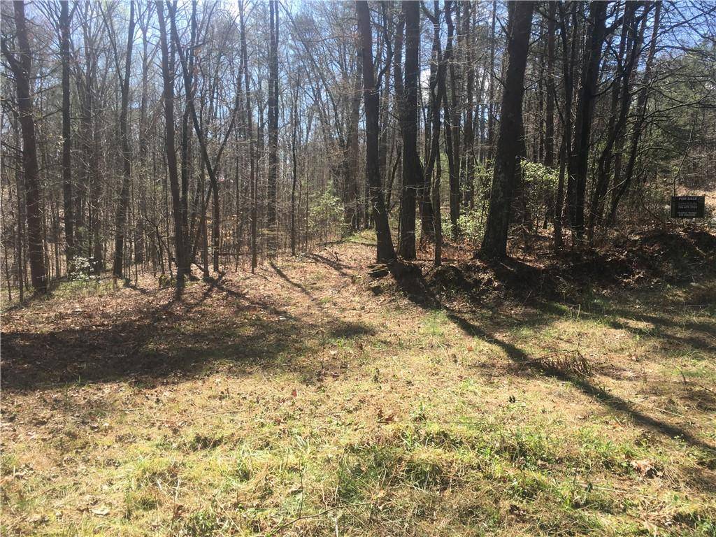 Ellijay, GA 30540,0 Old Roundtop RD