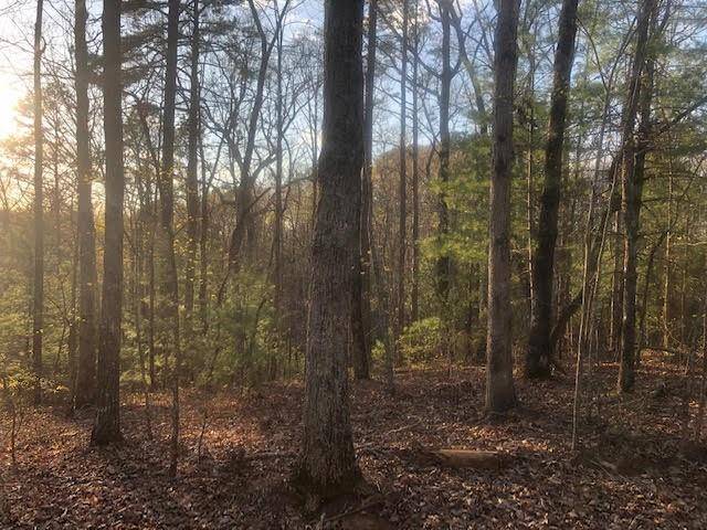 Ellijay, GA 30540,Tr 12 Hap Holt RD