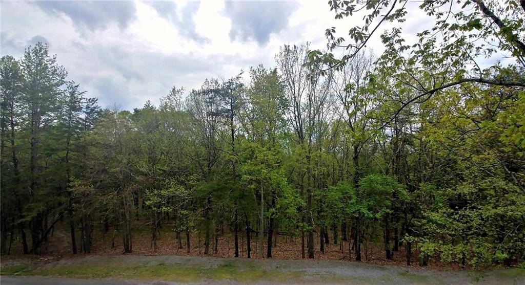 Waleska, GA 30183,2503 Fairway Oaks