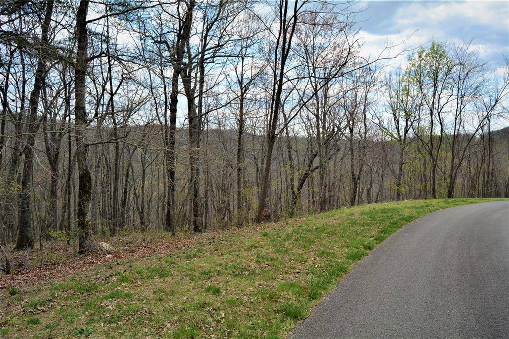 Ellijay, GA 30536,0 Mountain Falls LOOP