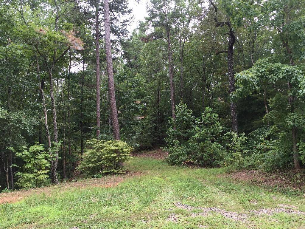 Marble Hill, GA 30148,303 Cove Lake DR