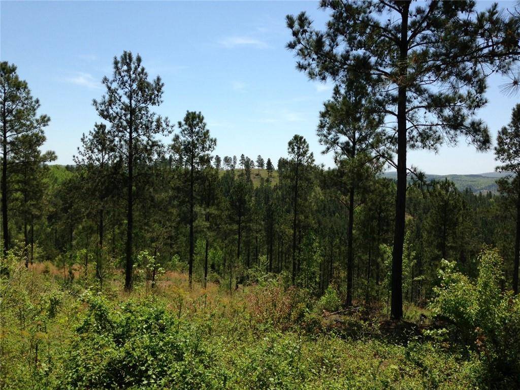 Fairmount, GA 30139,0 Fuller Mountain Road (83 acres) RD