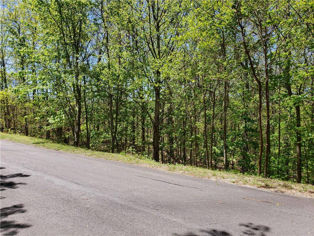 Ellijay, GA 30540,Lot 10 Cloudland DR