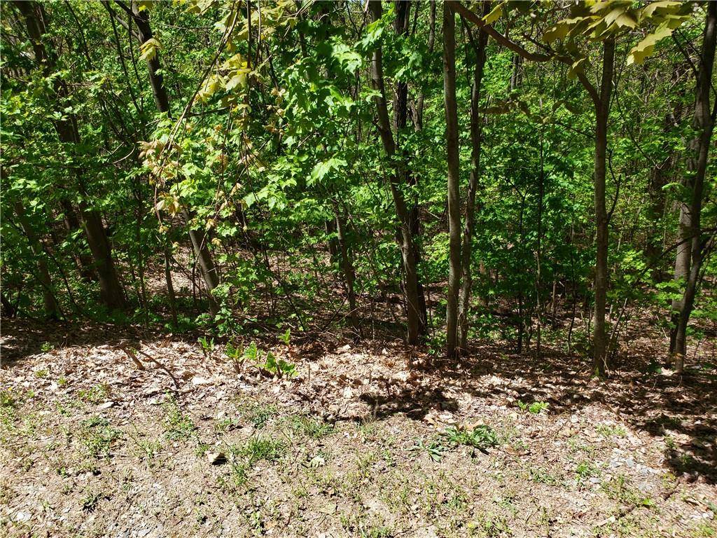 Ellijay, GA 30540,Lot 10 Cloudland DR