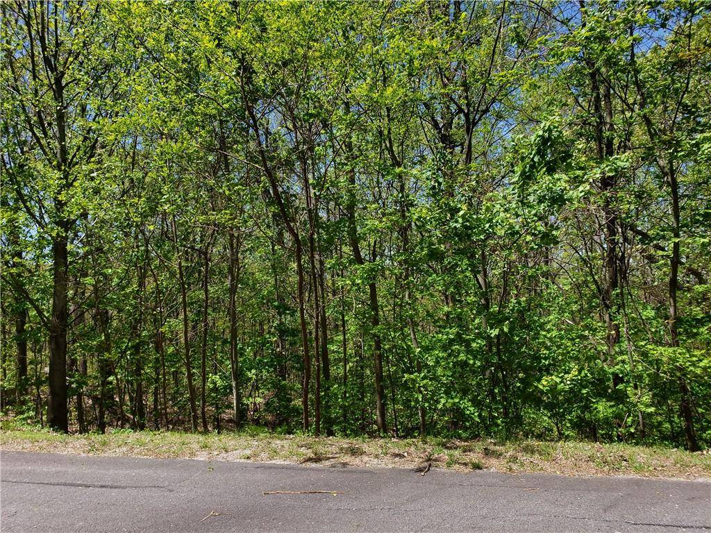 Ellijay, GA 30540,Lot 10 Cloudland DR