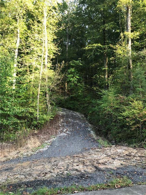 Ellijay, GA 30536,0 St Andrews Lot 166 WAY