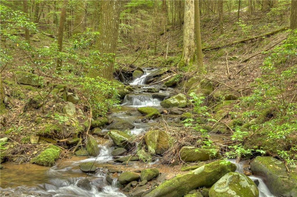 Ellijay, GA 30536,244 Wilderness WAY