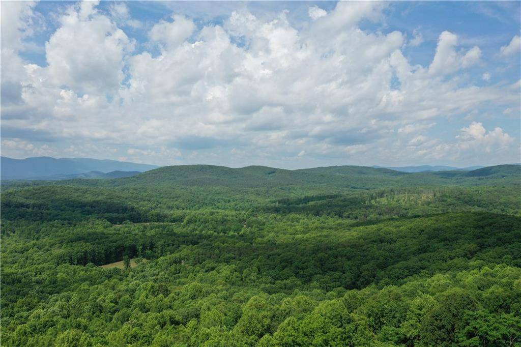 Ellijay, GA 30536,0 Mountainside Pkwy Lt 187