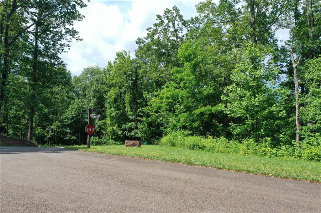 Ellijay, GA 30536,0 Mountainside Pkwy Lt 187