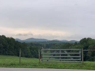 Blairsville, GA 30512,Lot 50 Gold Nugget Lane