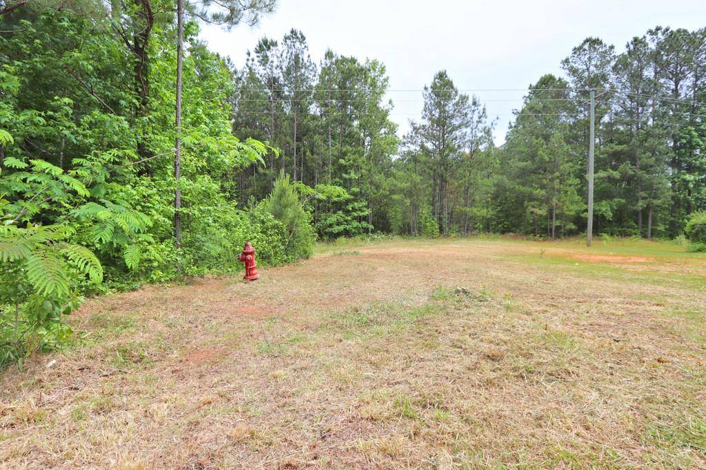 Buchanan, GA 30113,484 Wesley Camp RD