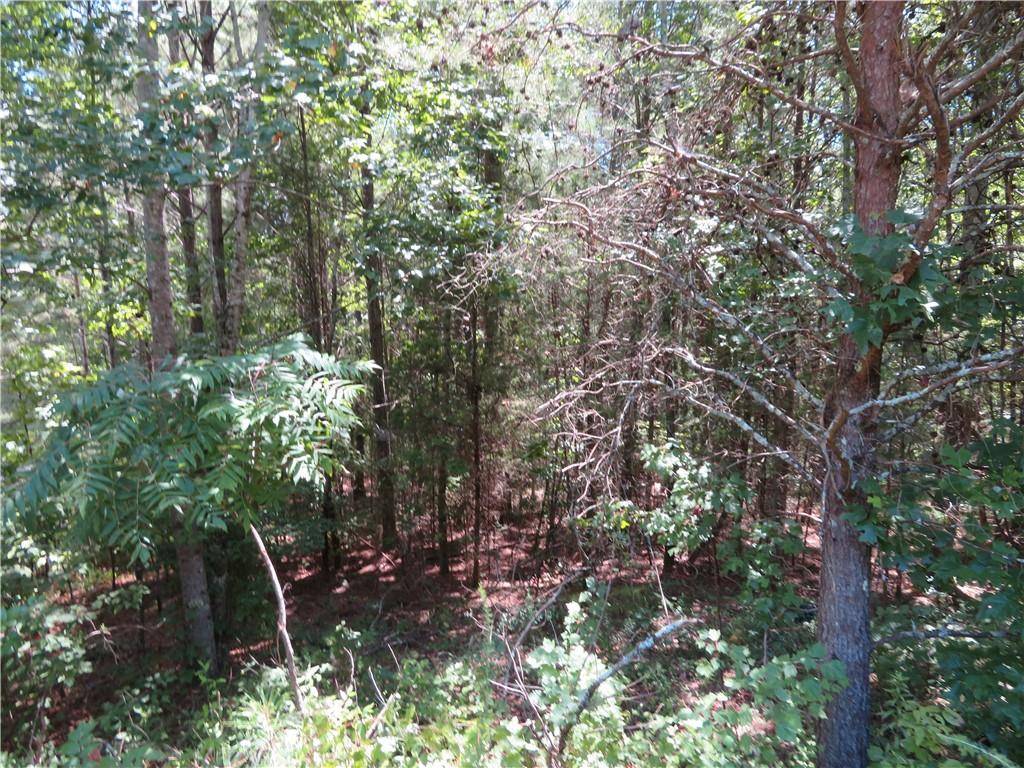 Ball Ground, GA 30107,0 Wood Glen TRL