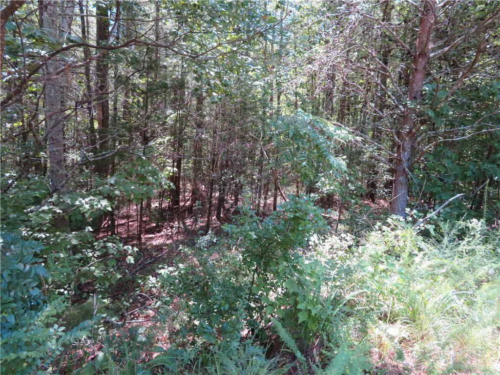 Ball Ground, GA 30107,0 Wood Glen TRL