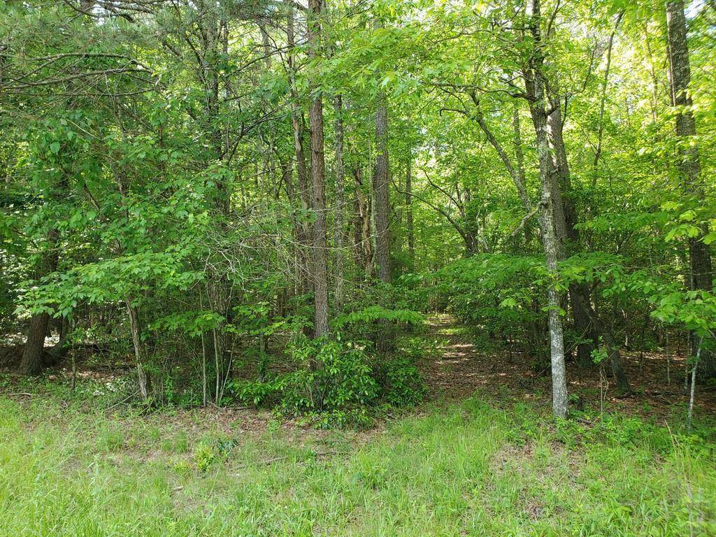 Blairsville, GA 30512,00 Tanner Cove RD