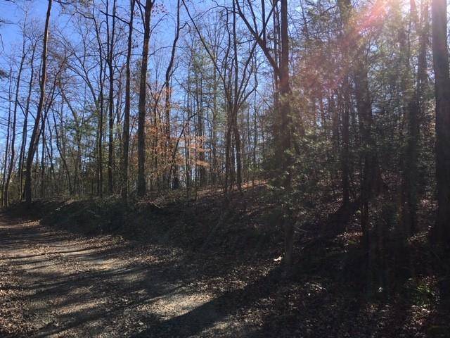 Ellijay, GA 30536,Lot 4 Marjorie AVE