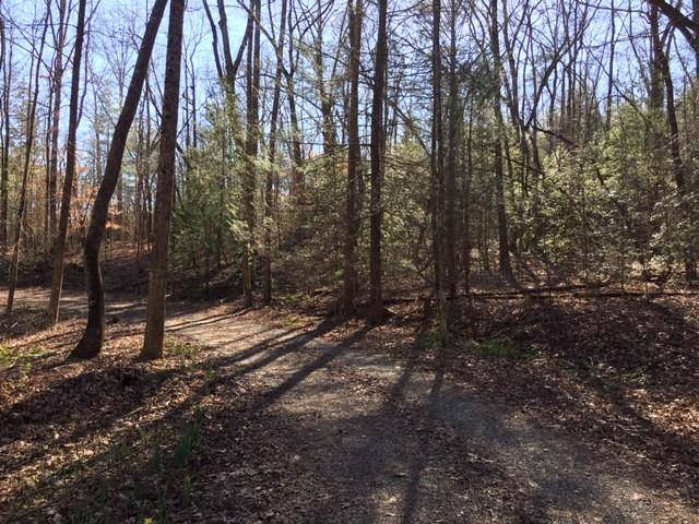 Ellijay, GA 30536,Lot 4 Marjorie AVE