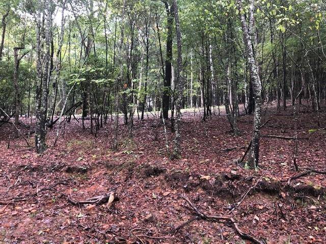 Morganton, GA 30560,Lot 5 Hunter's Ridge