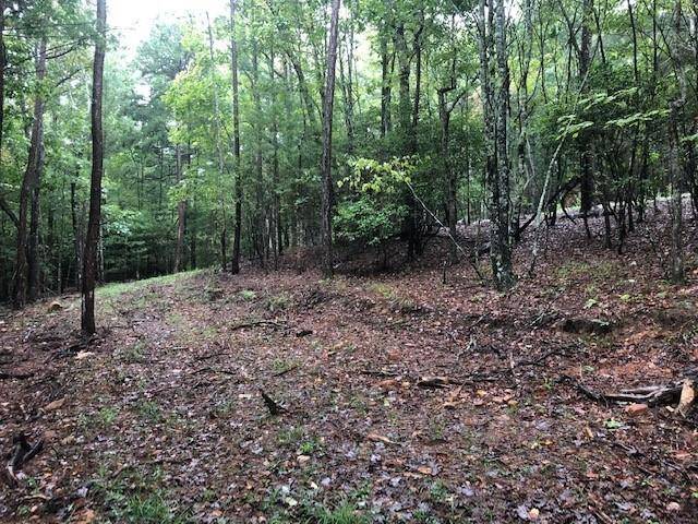 Morganton, GA 30560,Lot 5 Hunter's Ridge