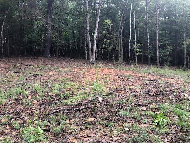 Morganton, GA 30560,Lot 5 Hunter's Ridge