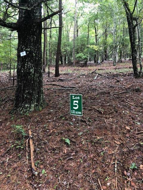 Morganton, GA 30560,Lot 5 Hunter's Ridge