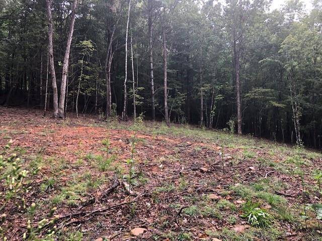 Morganton, GA 30560,Lot 5 Hunter's Ridge