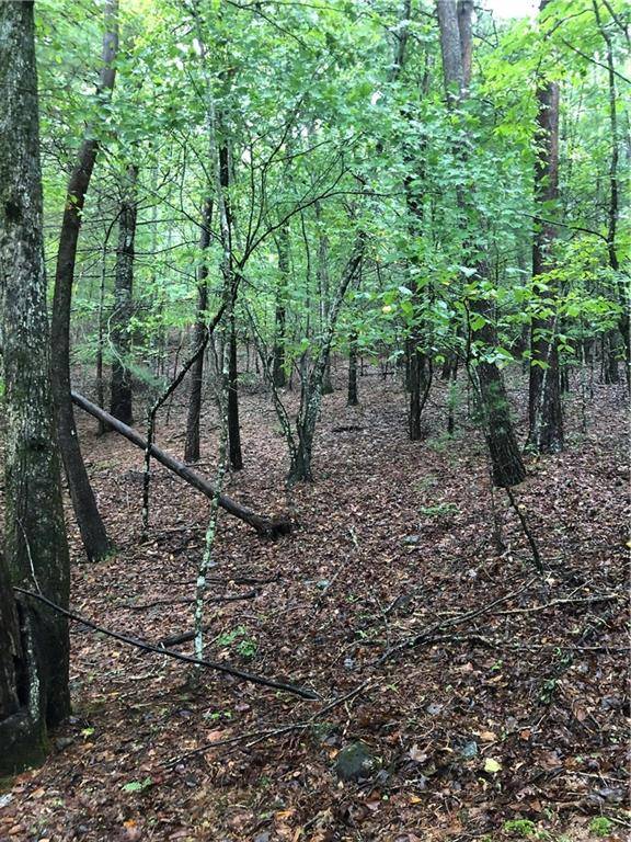 Morganton, GA 30560,Lot 6 Hunter's Ridge