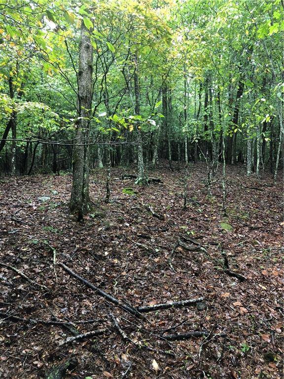 Morganton, GA 30560,Lot 6 Hunter's Ridge