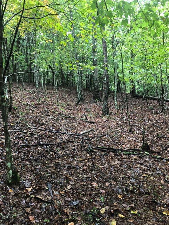 Morganton, GA 30560,Lot 6 Hunter's Ridge