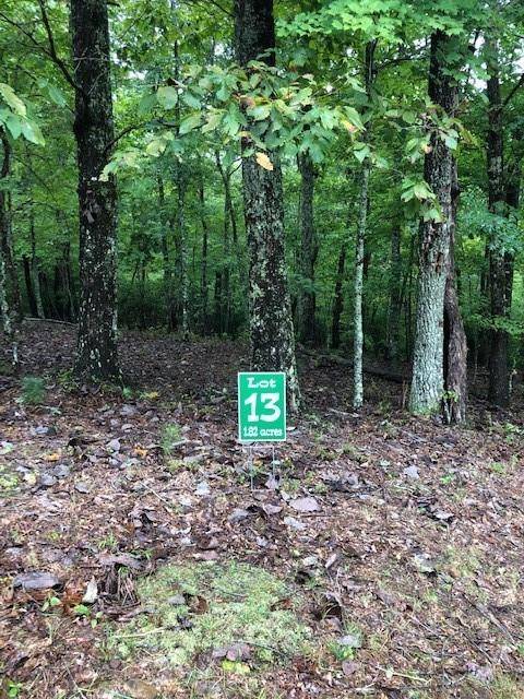 Morganton, GA 30560,Lot 13 Hunter's Ridge