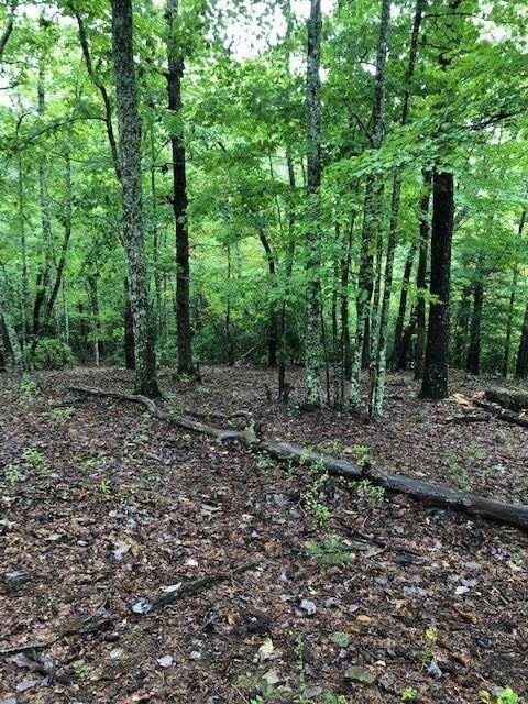 Morganton, GA 30560,Lot 13 Hunter's Ridge