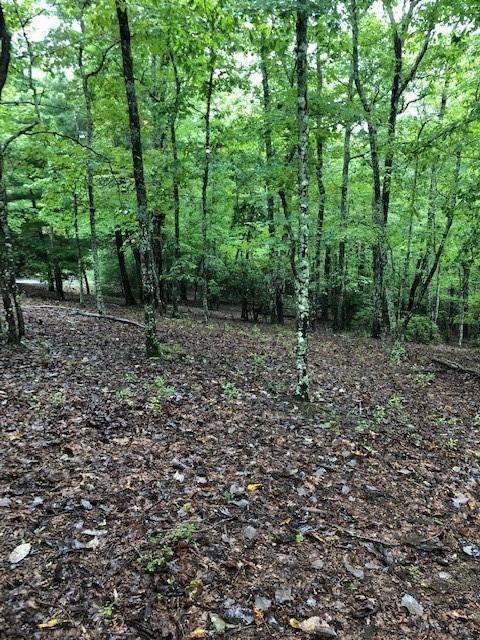 Morganton, GA 30560,Lot 13 Hunter's Ridge