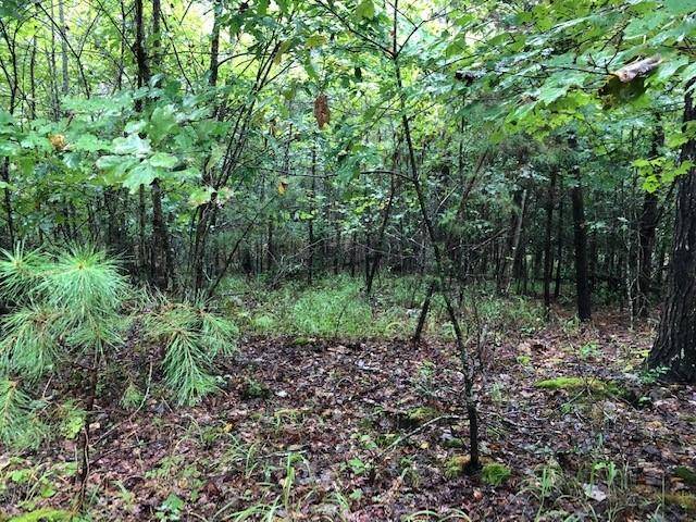 Morganton, GA 30560,Lot 19 Hunter's Ridge