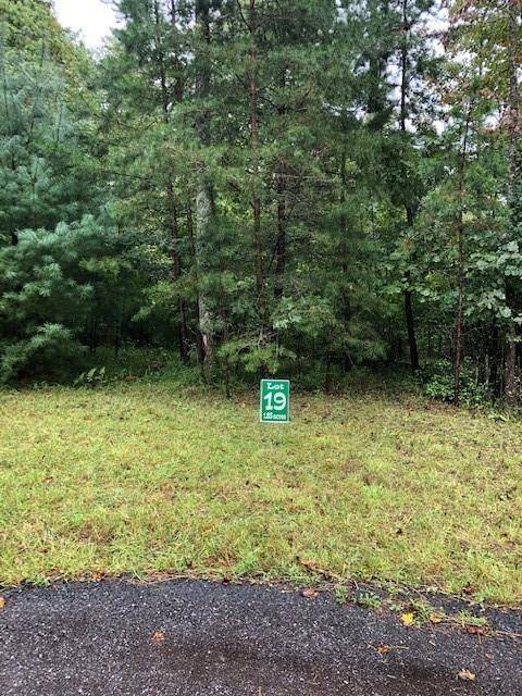 Morganton, GA 30560,Lot 19 Hunter's Ridge